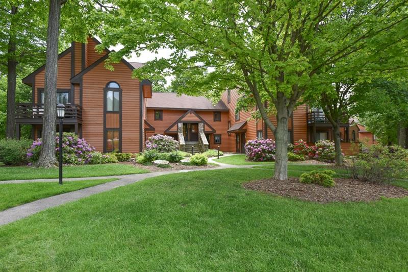 2404 Swiss Mountain Drive - 1